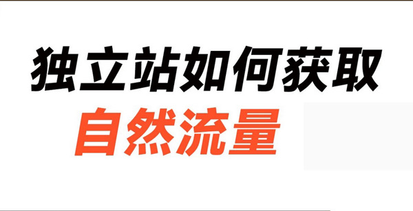 掌握這些海外流量渠道，獨(dú)立站流量輕松過(guò)萬(wàn)！