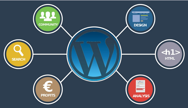 谷歌SEO必備的二十個工具，助力你快速網(wǎng)站排名！