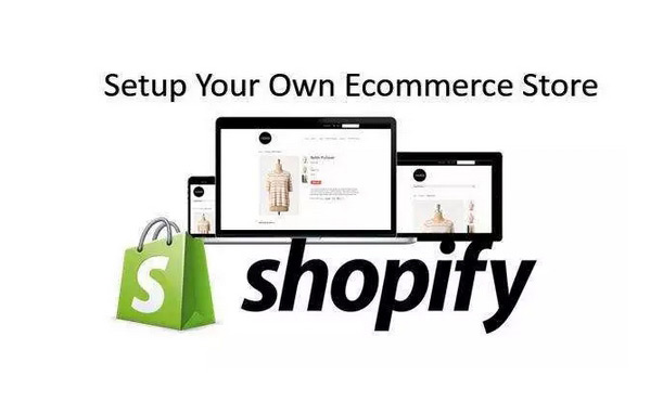 Shopify獨(dú)立站流量來源分析