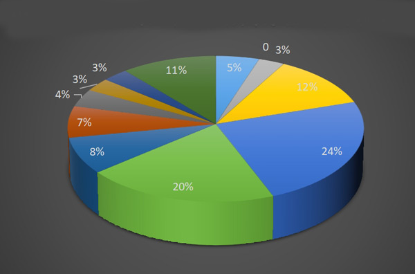 獨立站數(shù)據(jù)分析項目都有哪些？