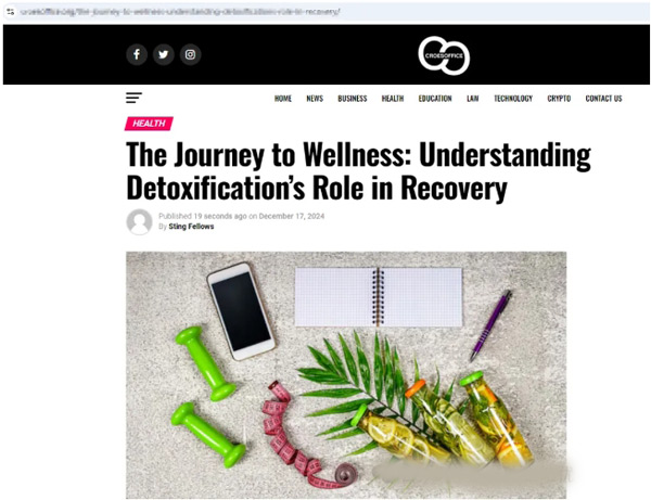 獨(dú)立站做了靜態(tài)頁(yè)面，網(wǎng)站實(shí)現(xiàn)流量增長(zhǎng)！