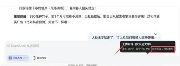 deep seek對于網(wǎng)站seo優(yōu)化能起到哪些作用？