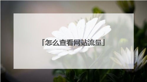 網(wǎng)站日均流量怎么看？網(wǎng)站日均訪問量查詢？